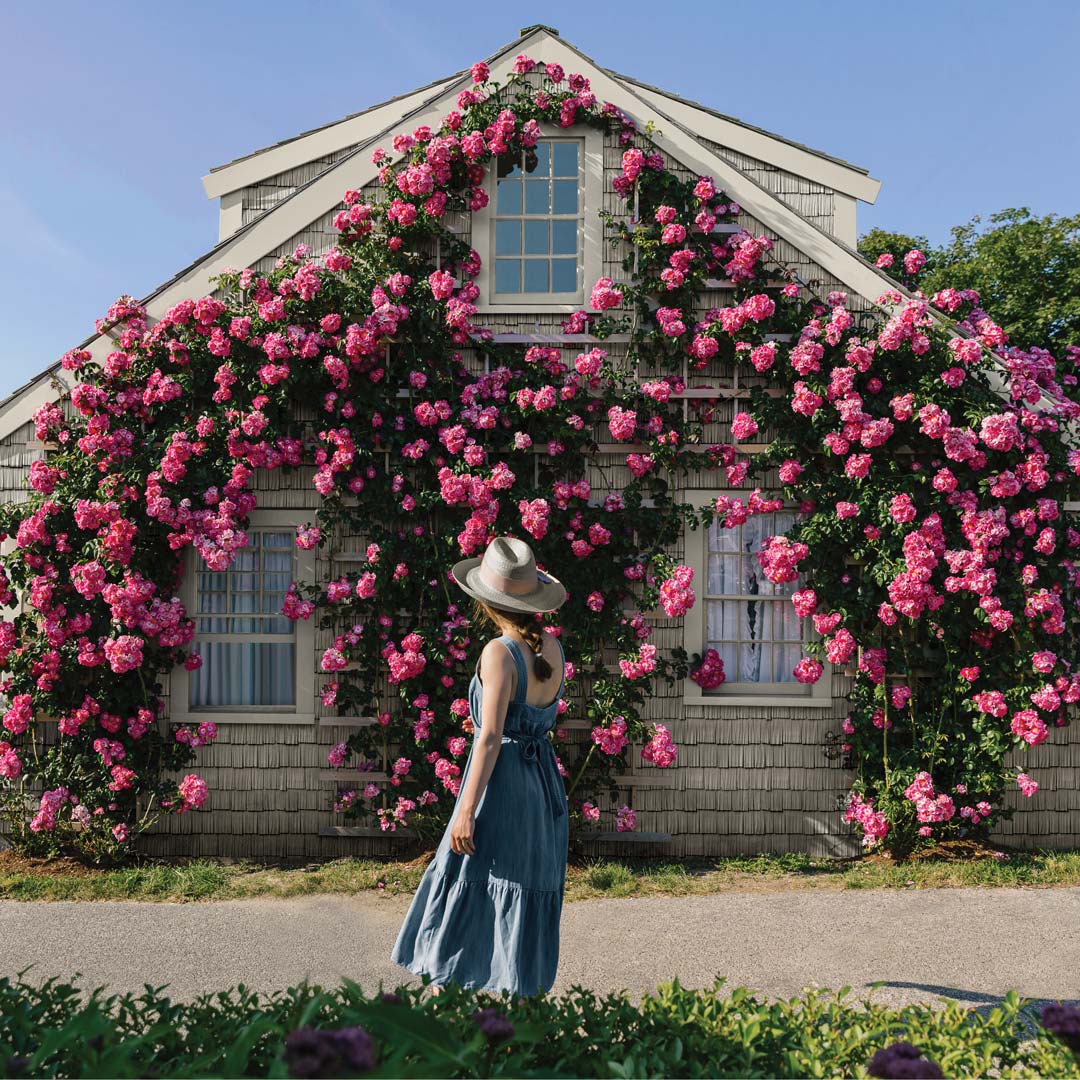 JLC Roofing & Exteriors Images